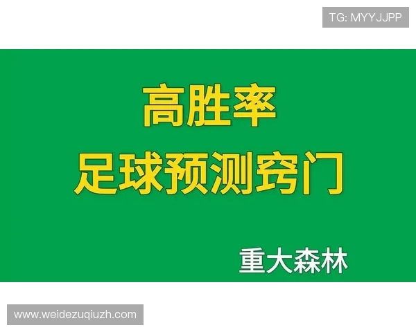 如何选择足球预测最准的网站提升你的比赛胜率