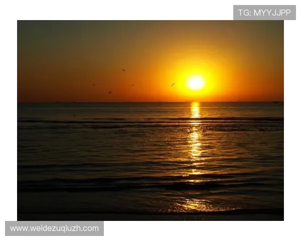 海星体育旗舰厅下载官网详细指南，帮助用户轻松注册登录畅享体育娱乐