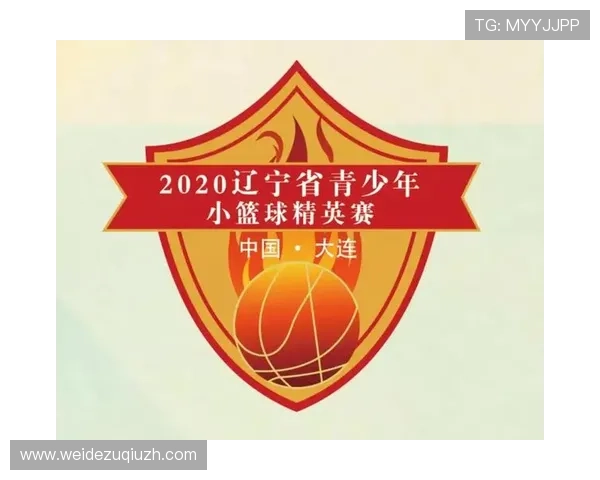 半岛官方体育登录入口最新指南，帮助用户快速安全登录体验全新体育赛事